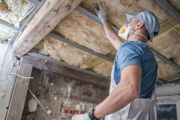 Best Insulation Maintenance and Repair in North El Monte, CA